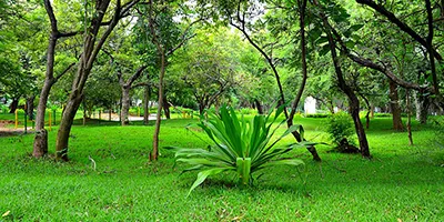 Guindy Childrens Park
