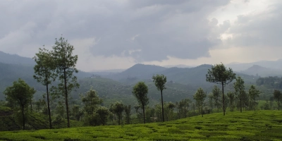 Valparai Taxi Service